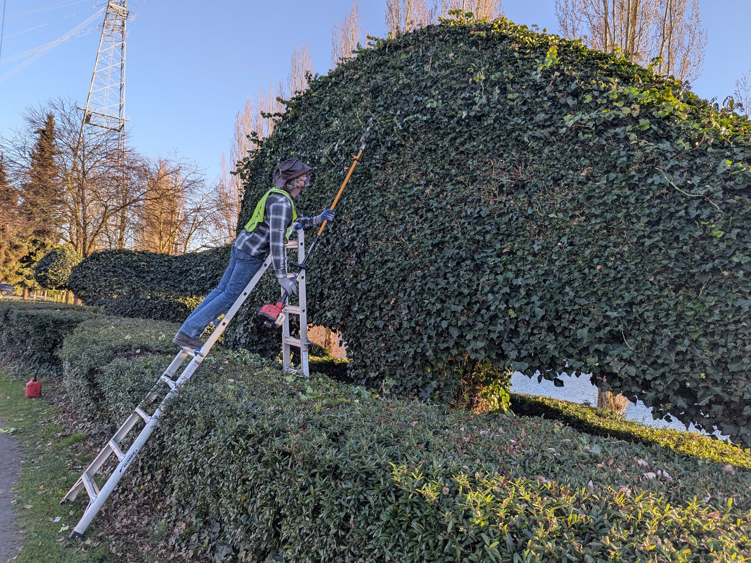 Dinosaurs get their annual Spring trimming