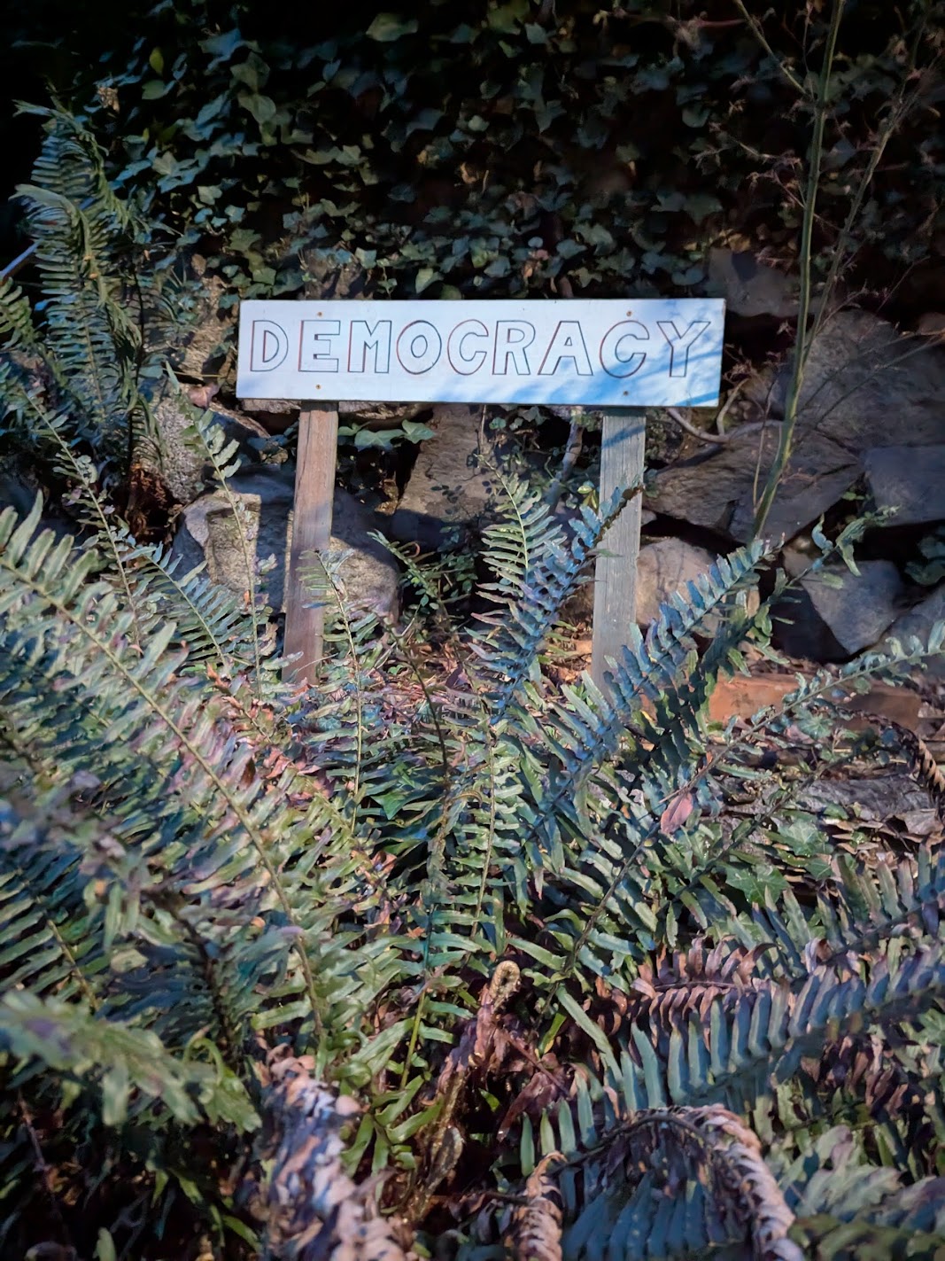 Signs of Fremont: DEMOCRACY