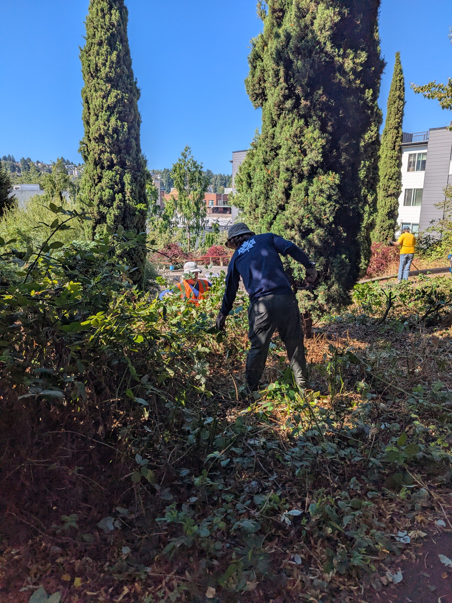 Volunteers transform A.B. Ernst Park entrance, seek help for Saturday cleanup