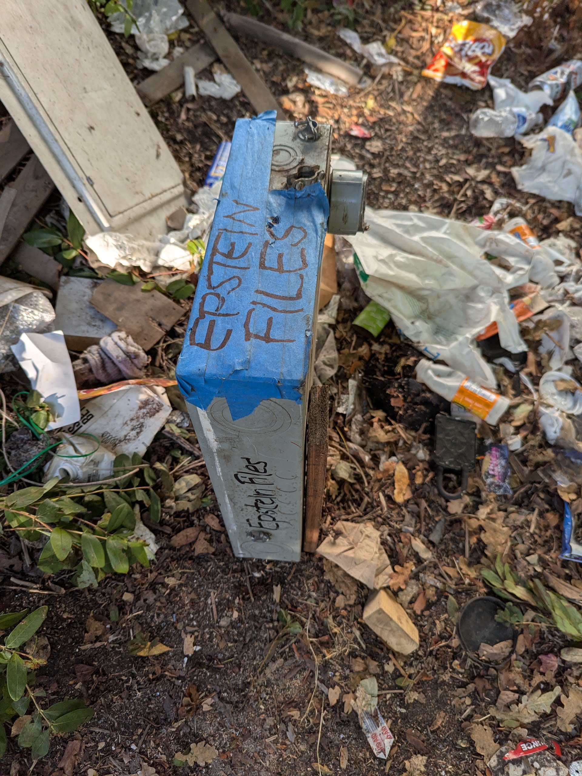 Fremont in the Wild: The Epstein Files