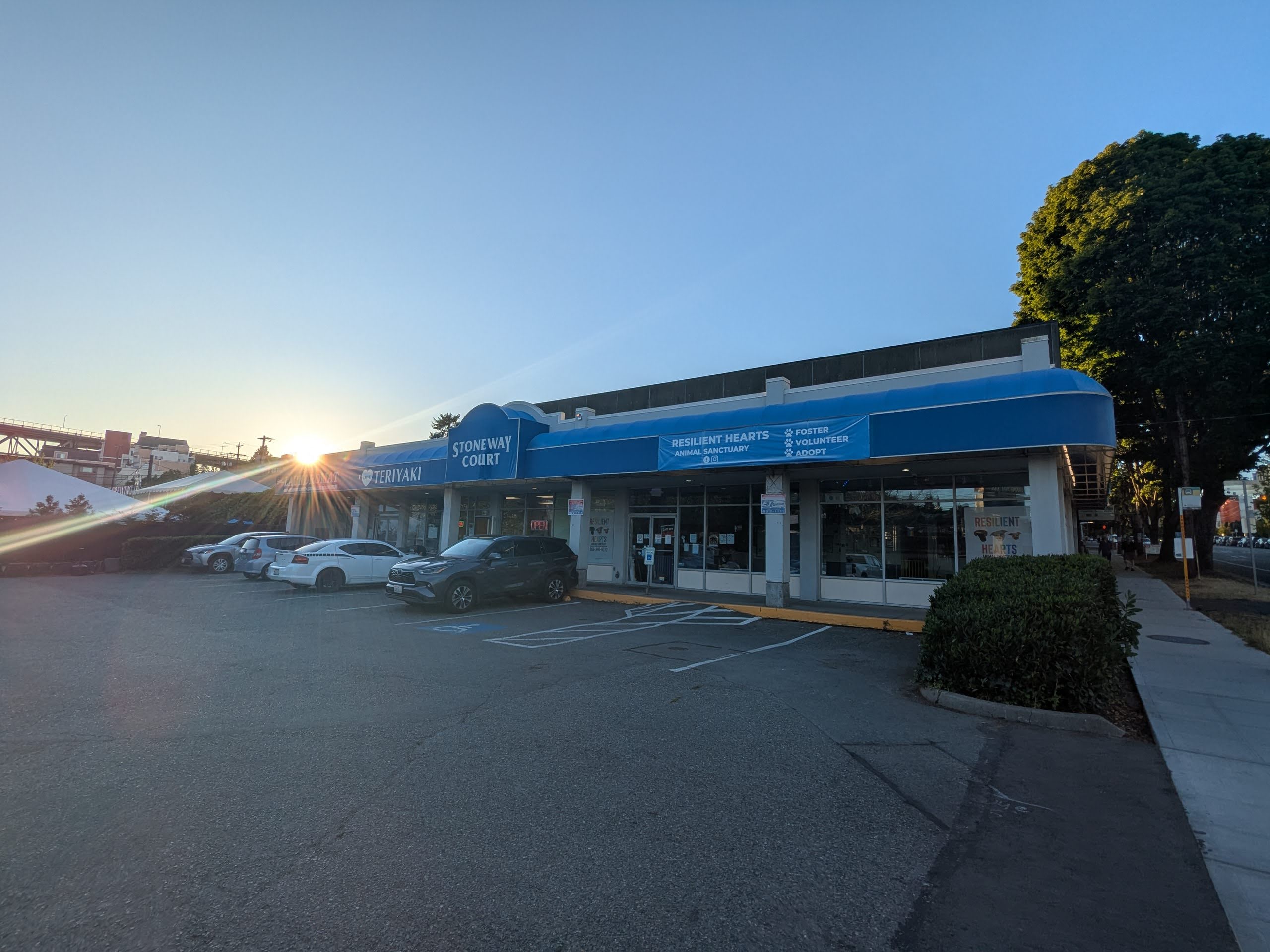 Stone Way Rising Installment Two: N 34th Street to N 35th Street