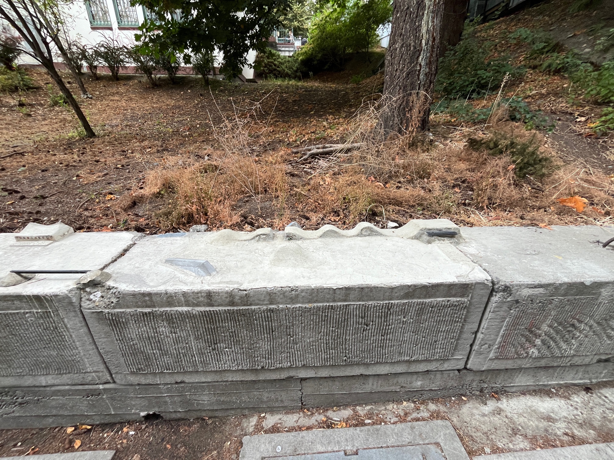 Fremont in the Wild: The secret fingerboard skatepark