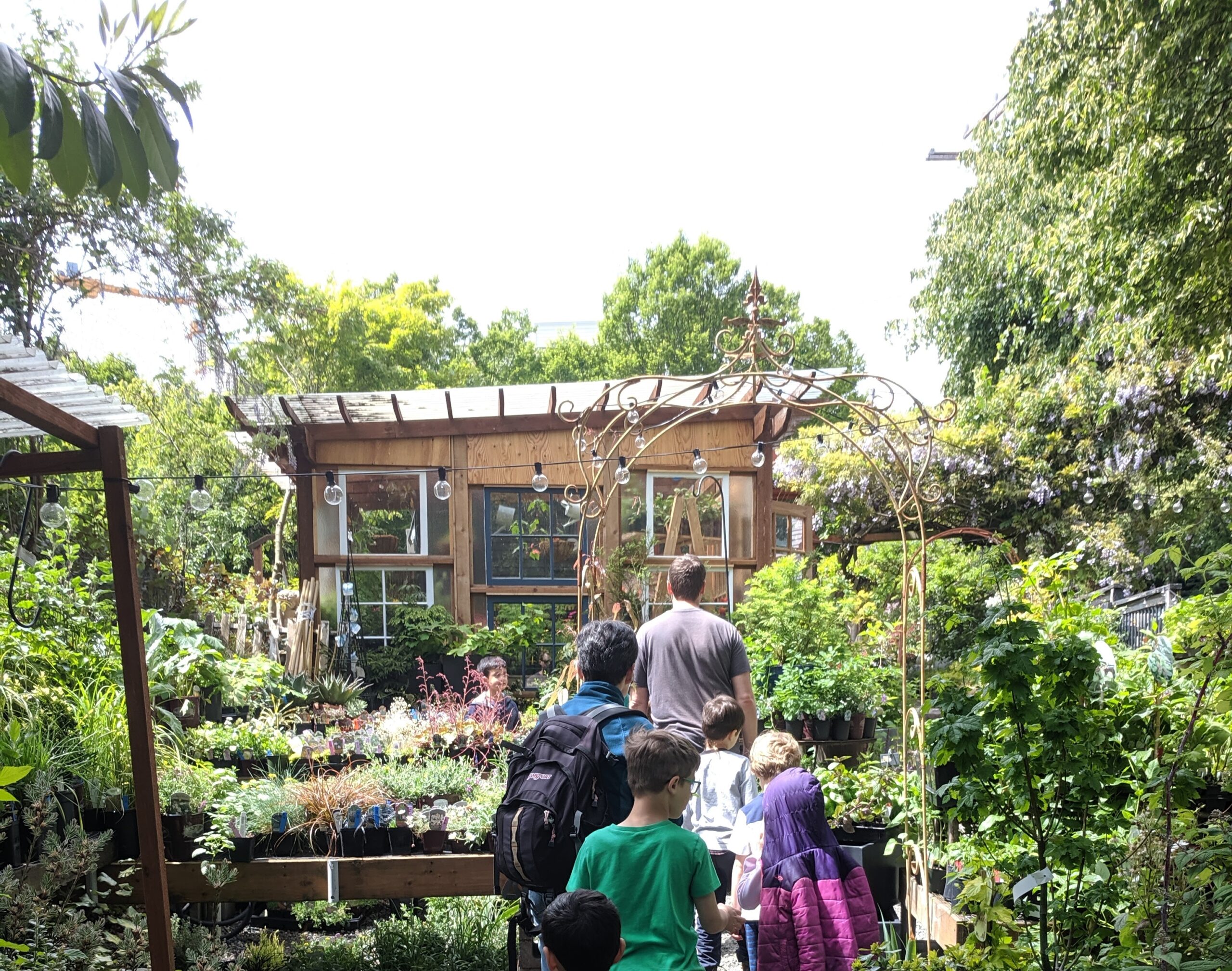 Urban Earth Nursery to close: a casualty of development