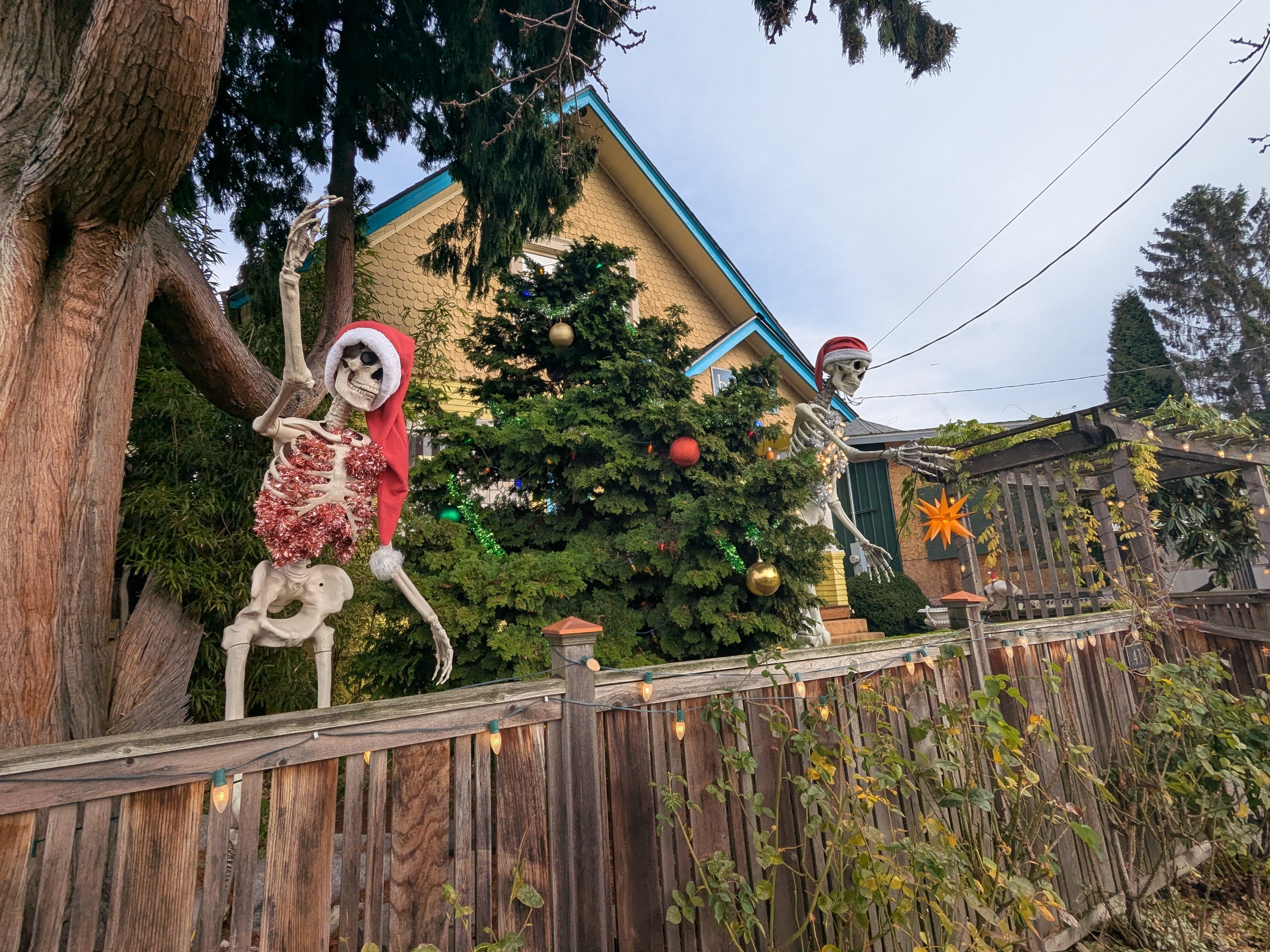 Taking a holiday break (and reflecting on year one)