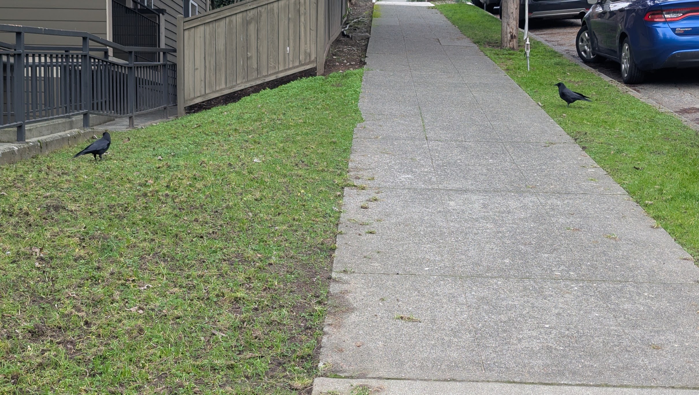 Spring gardening prep in Fremont: From grubs to weeds