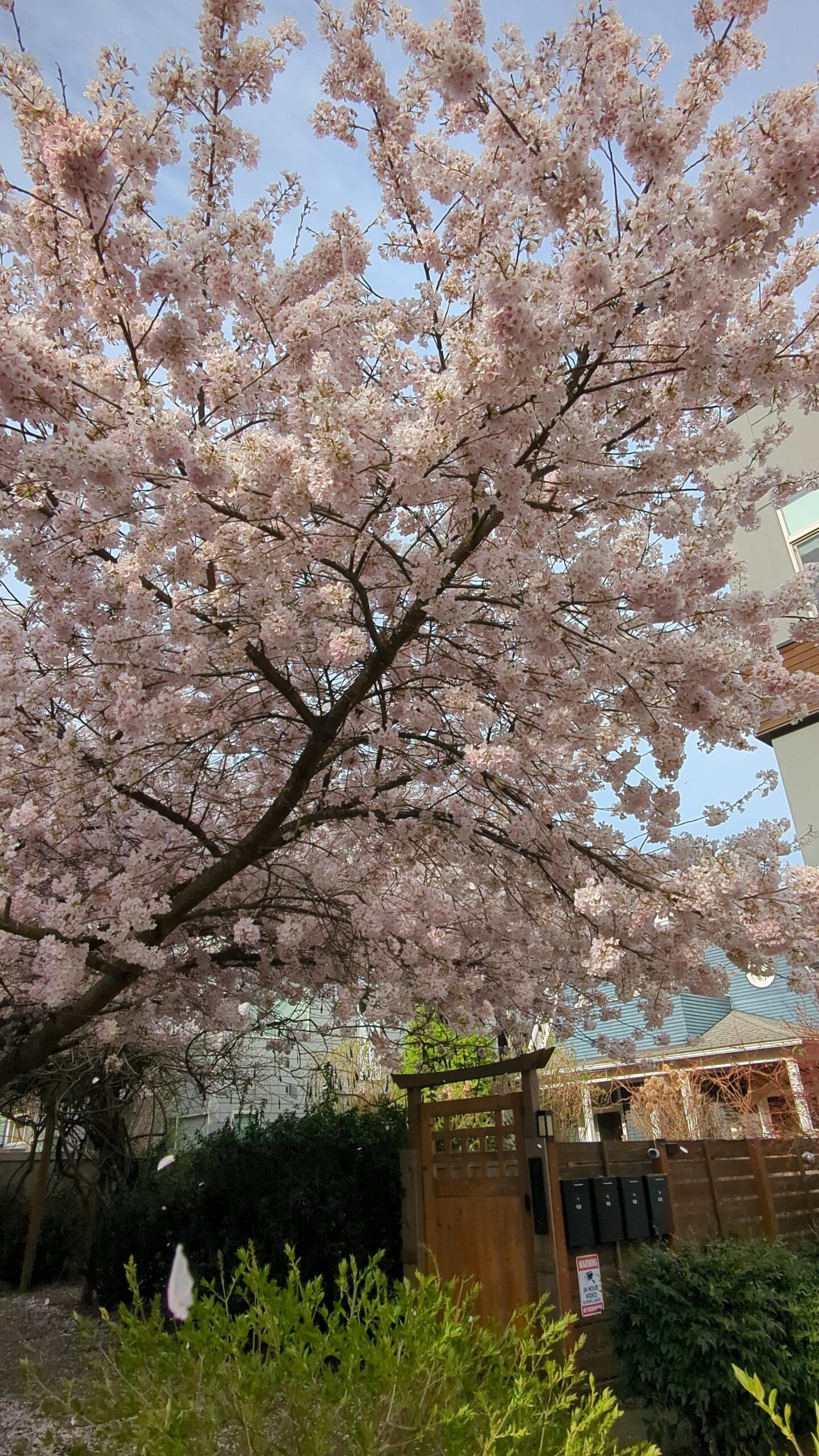 Waking up from the Big Dark