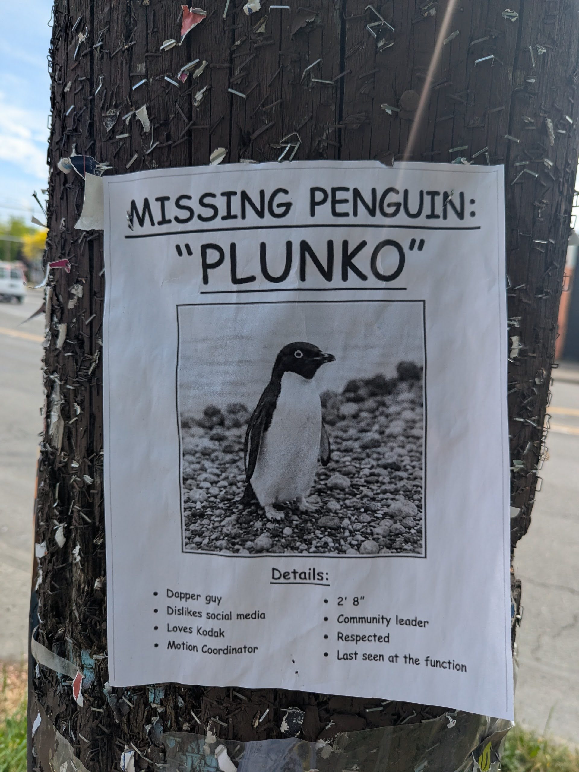 Fremont in the Wild: Have you seen Plunko?
