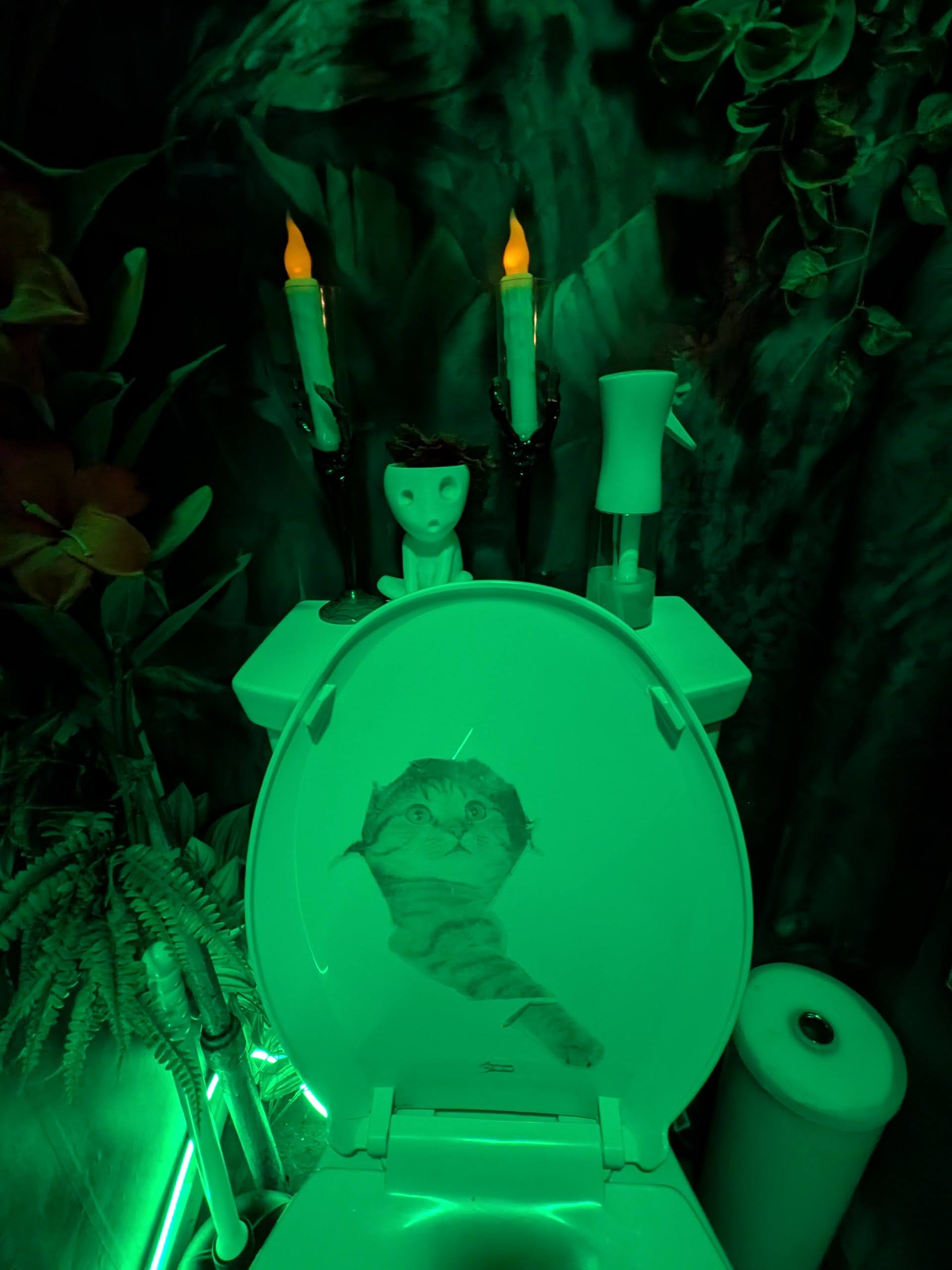 Fremont in the Wild: The enchanted bathroom of N 36th Street