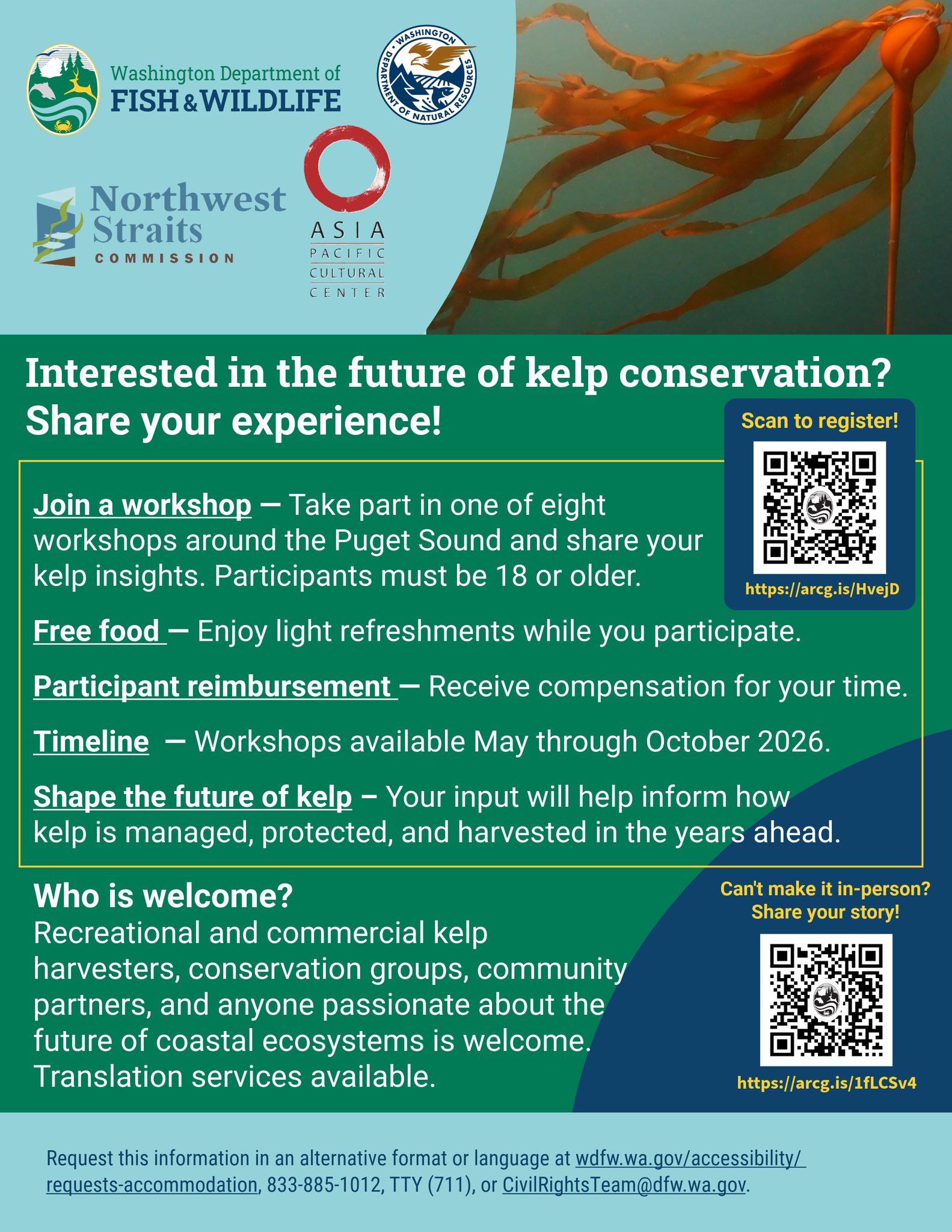 Kelp workshop coming to Fremont Library June 3