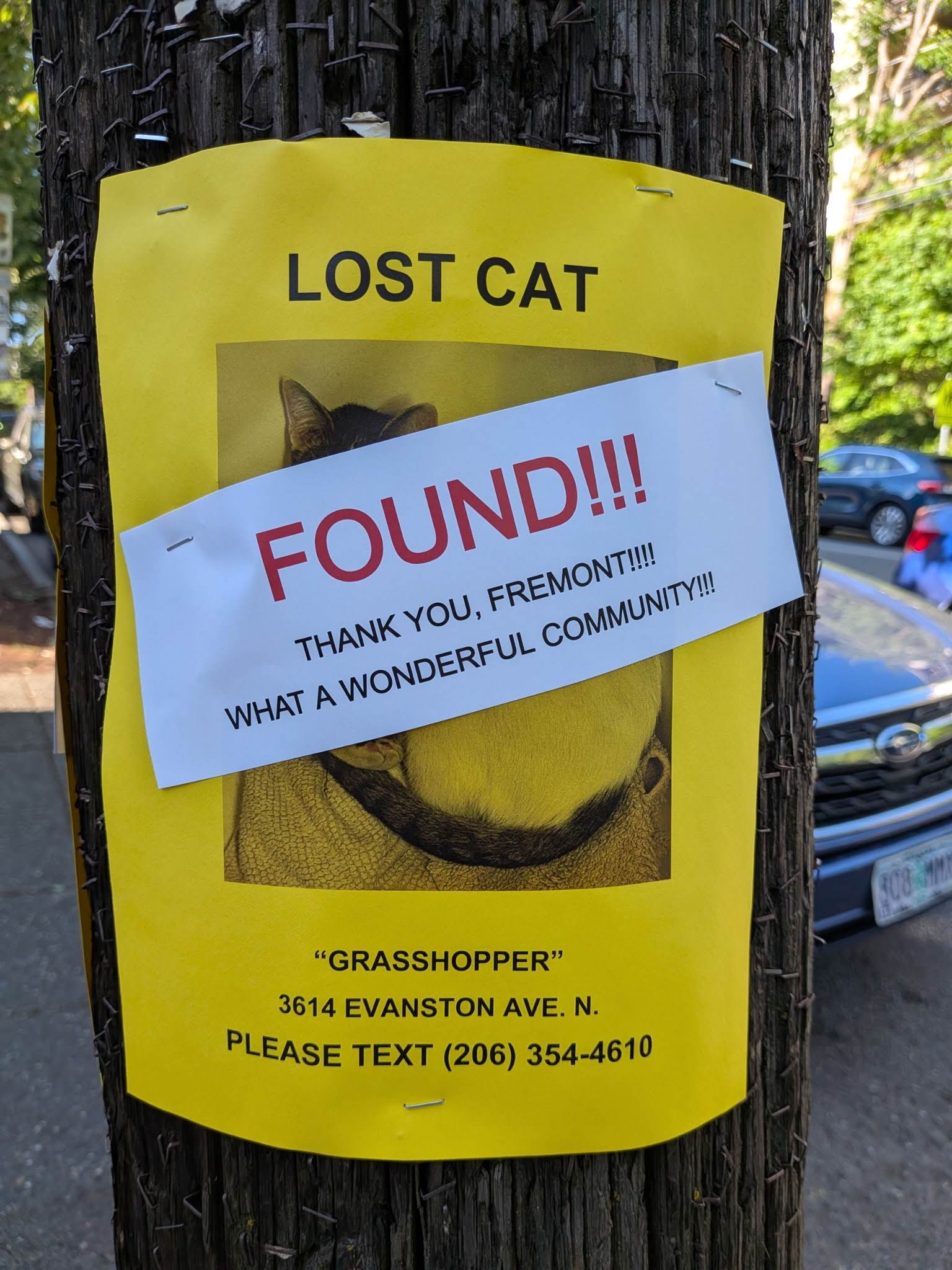 Lost cat Grasshopper found safe, Fremont gets a Thank You