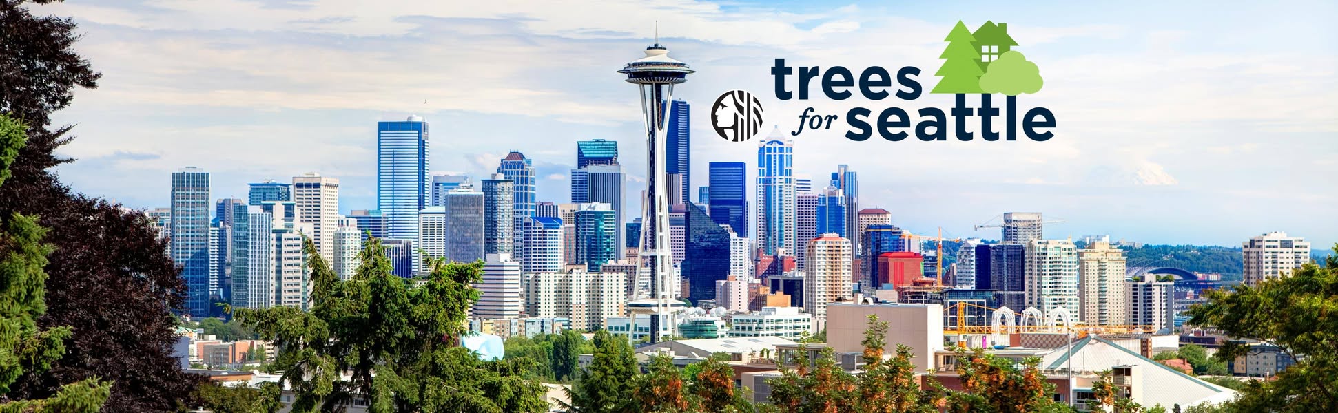 Seattle’s free tree program closes July 31