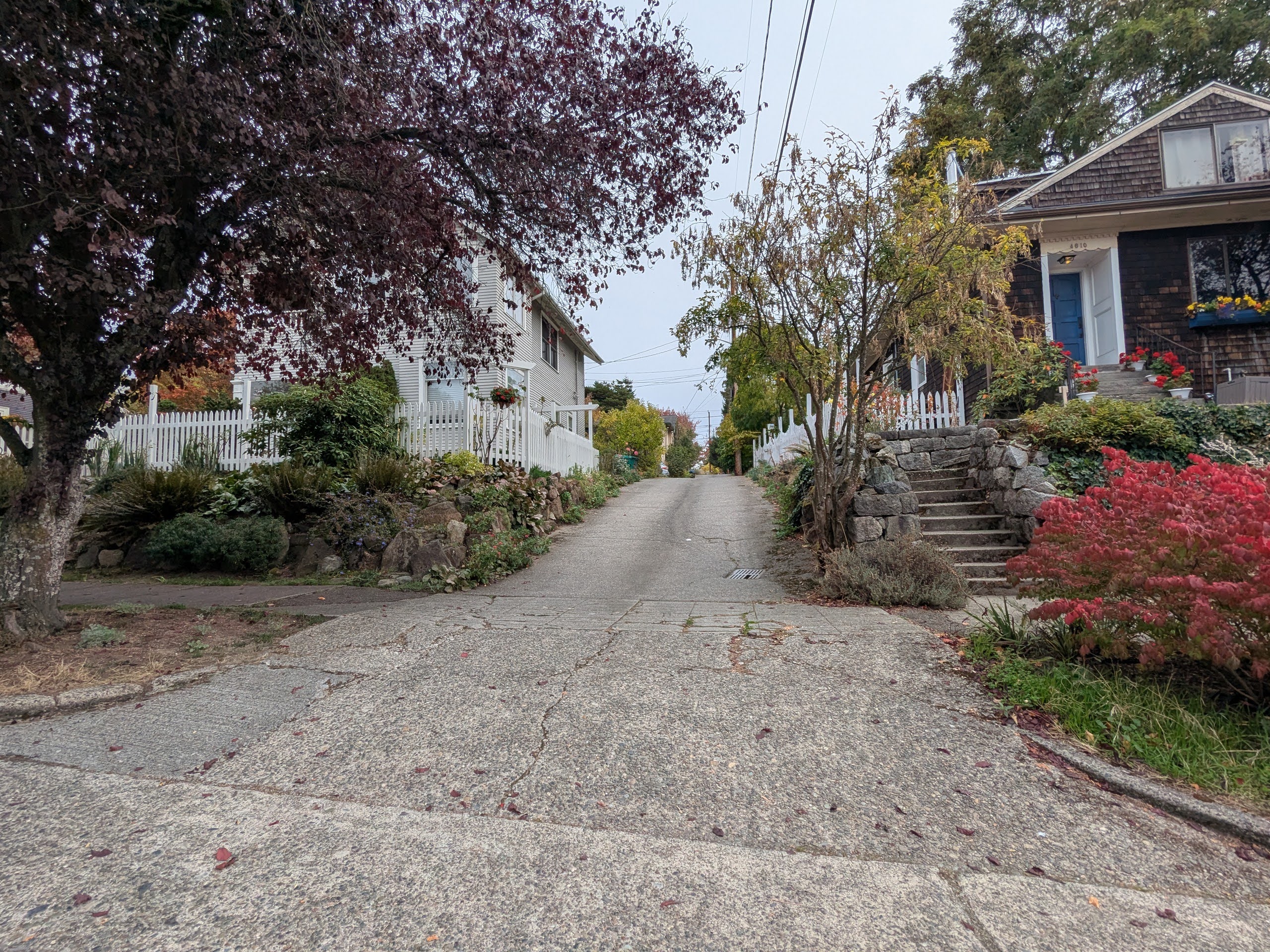 Police say no public risk after Fremont stabbing but want neighbors’ video
